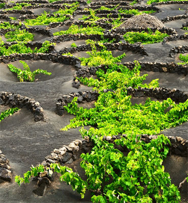 locations lanzarote