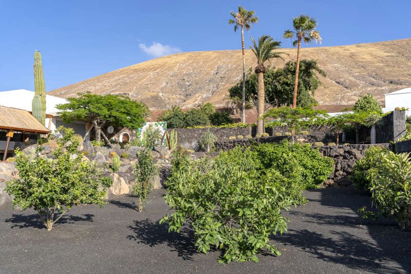 Villa Liquen - location villa lanzarote