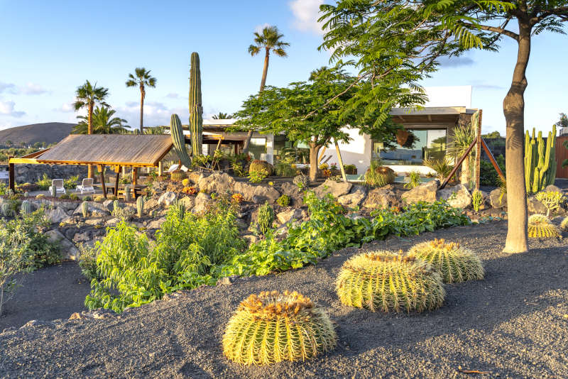 Villa Liquen - locations lanzarote