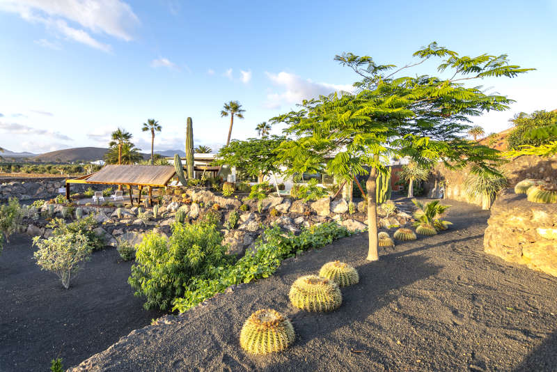 Villa Liquen - lanzarote location maison